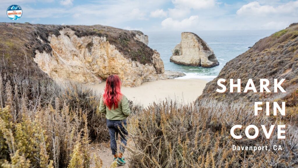 Shark Fin Cove